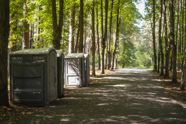 Best Construction site porta potty rental  in Virginia, IL